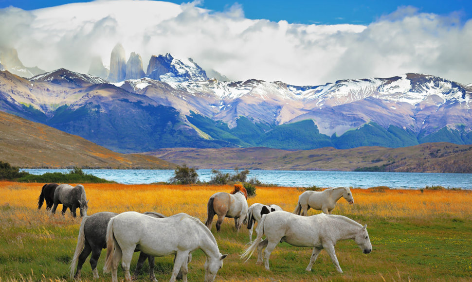 Torres del Paine