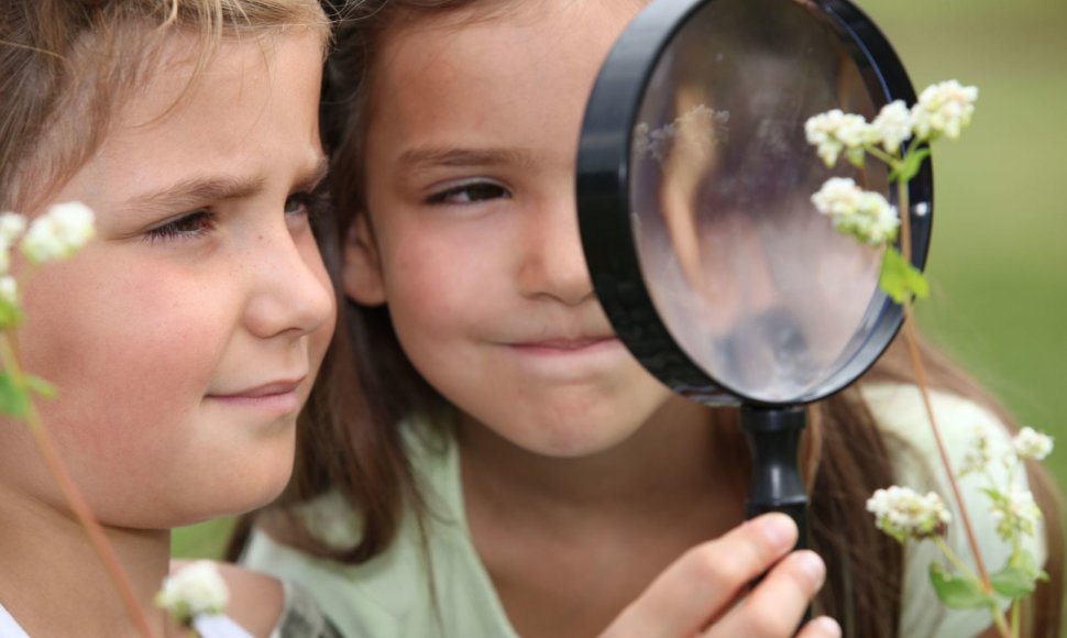 Vaikai tyrinėja augalaus