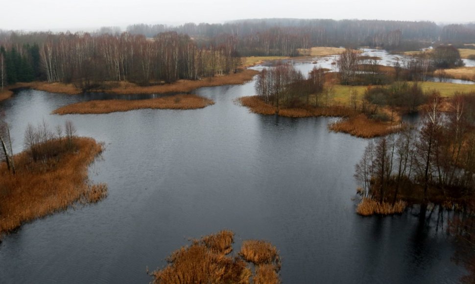 Kirkilų apžvalgos bokštas ir vaizdas nuo jo