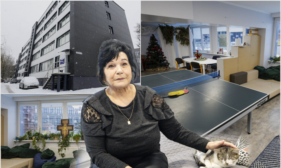 „Gerumo rankų“ namai Kaune