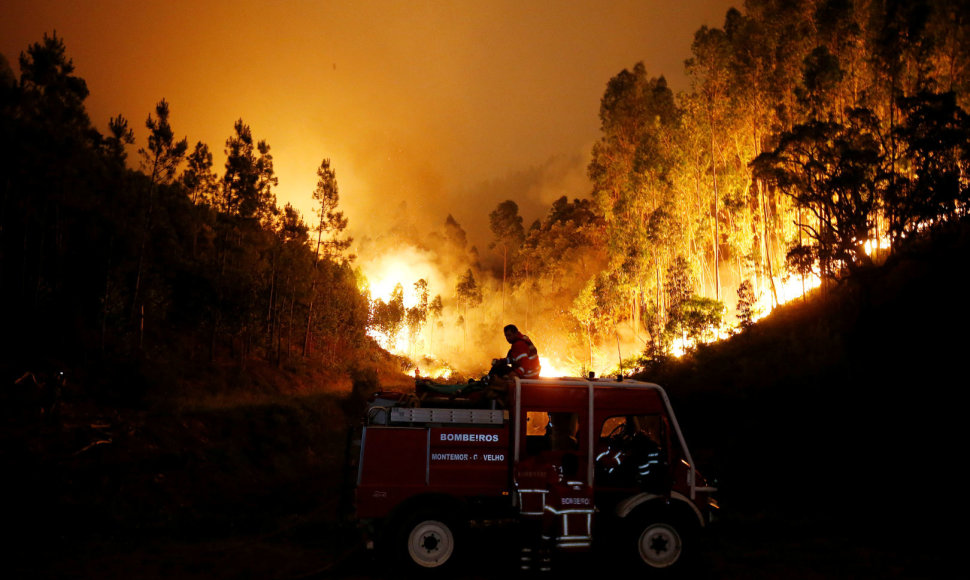Miško gaisras Portugalijoje