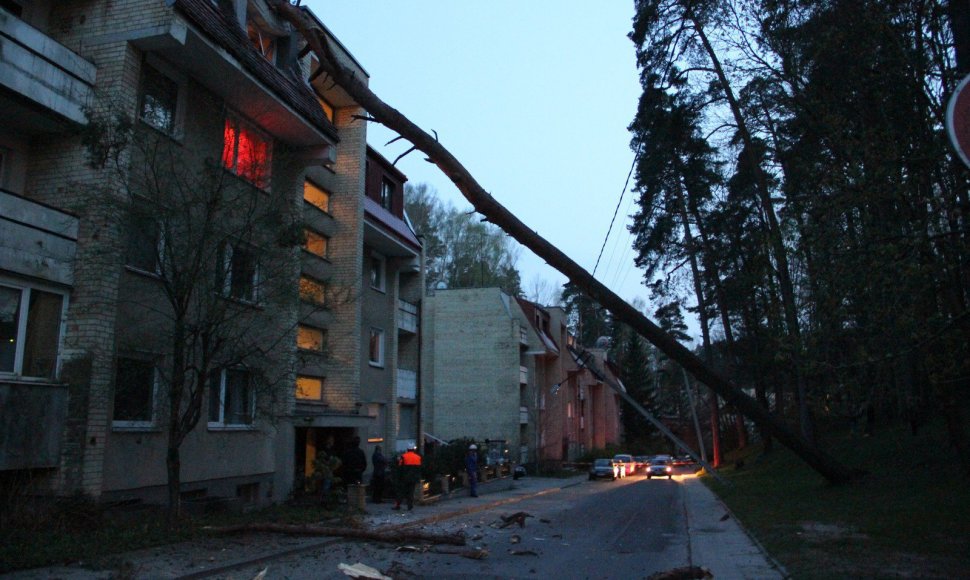 Vilniuje, Mildos gatvėje ant 33 namo vakare užvirto pušis, pralaužė daugiabučio namo stogą, nulaužė elektros stulpus.