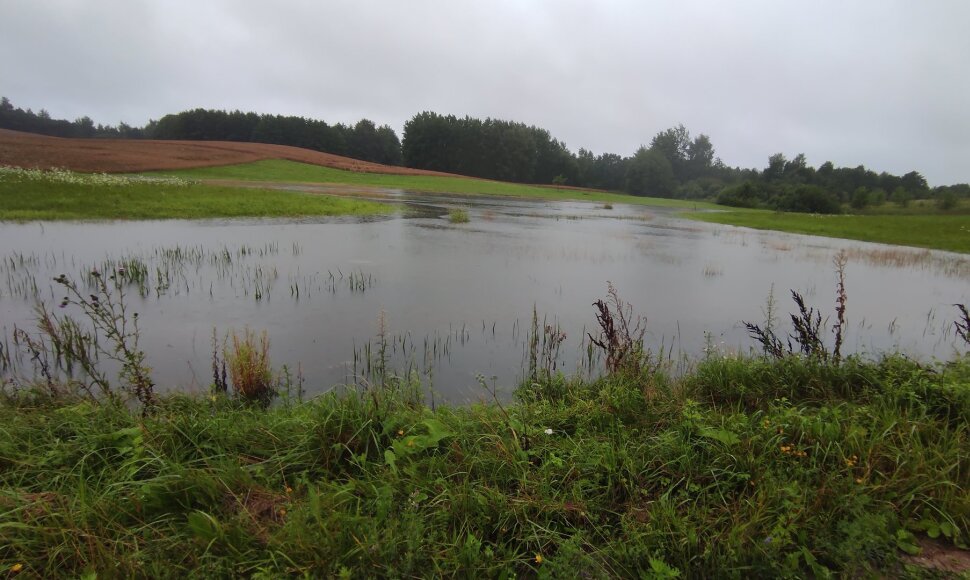 Apsemti laukai Kai&scaron;iadorių rajono Dainių kaime