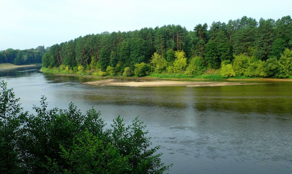 Nemuno pakrantės prie Druskininkų