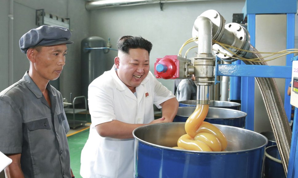 Kim Jong Unas gamykloje