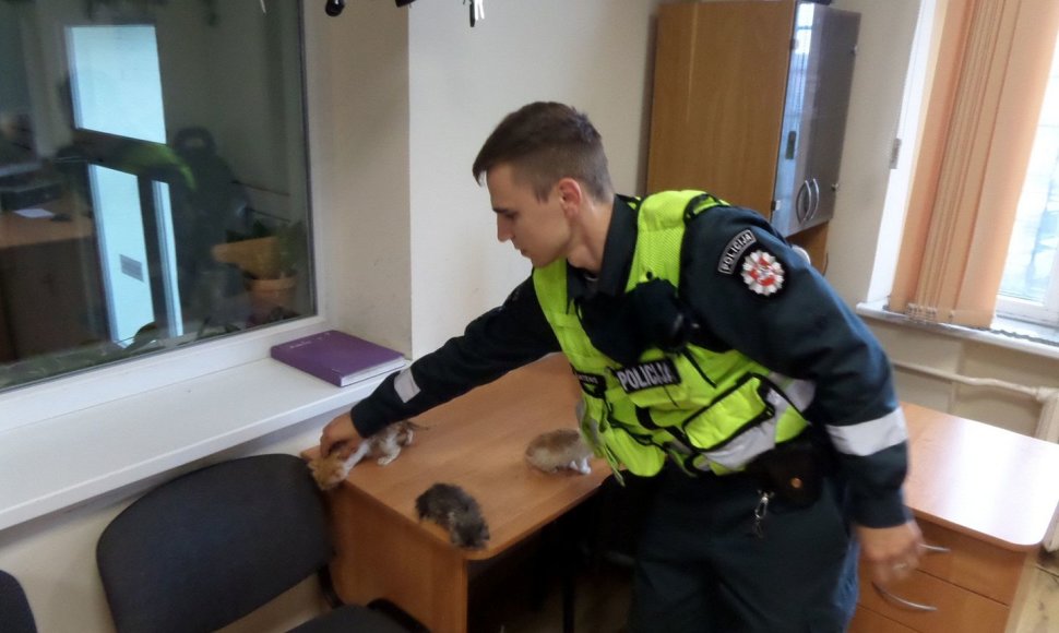 Šiaulių policininkai gelbėjo kačiukus
