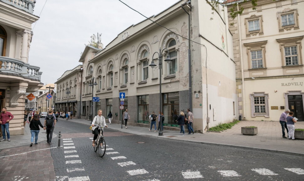 Naktinis Vilniaus avilys