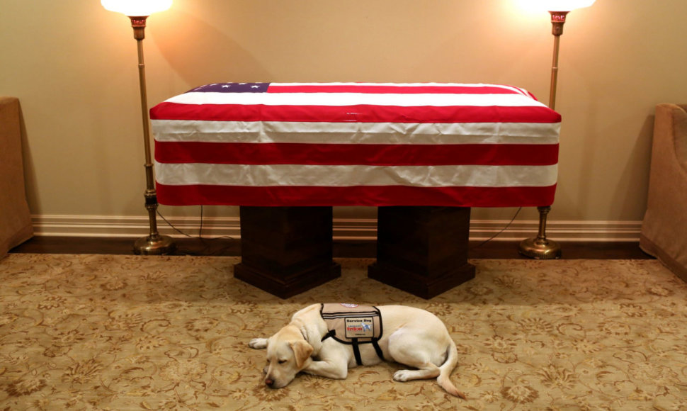 Velionio G. H. W. Busho šuo budėjo prie mirusio šeimininko karsto