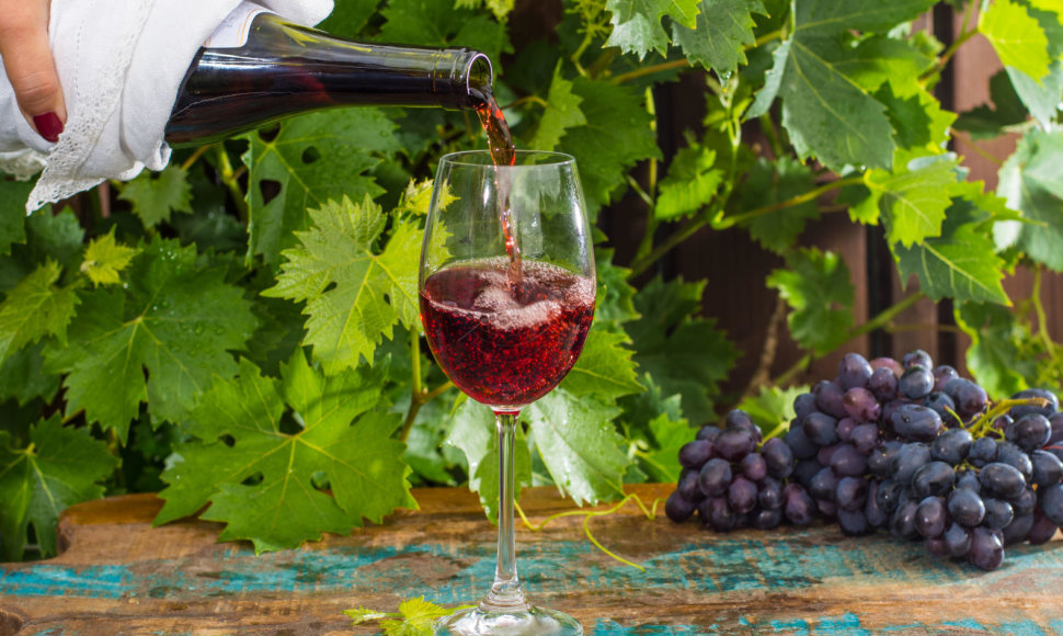 Pinot Noir vynuogės ir vynas