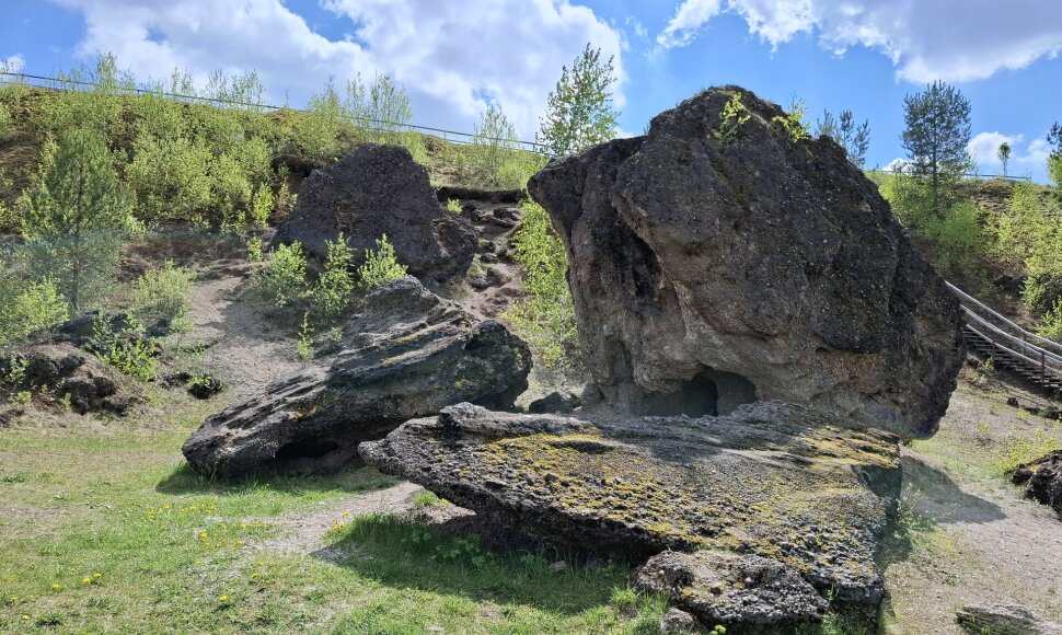 Šeimyniškių atodanga su konglomerato uola