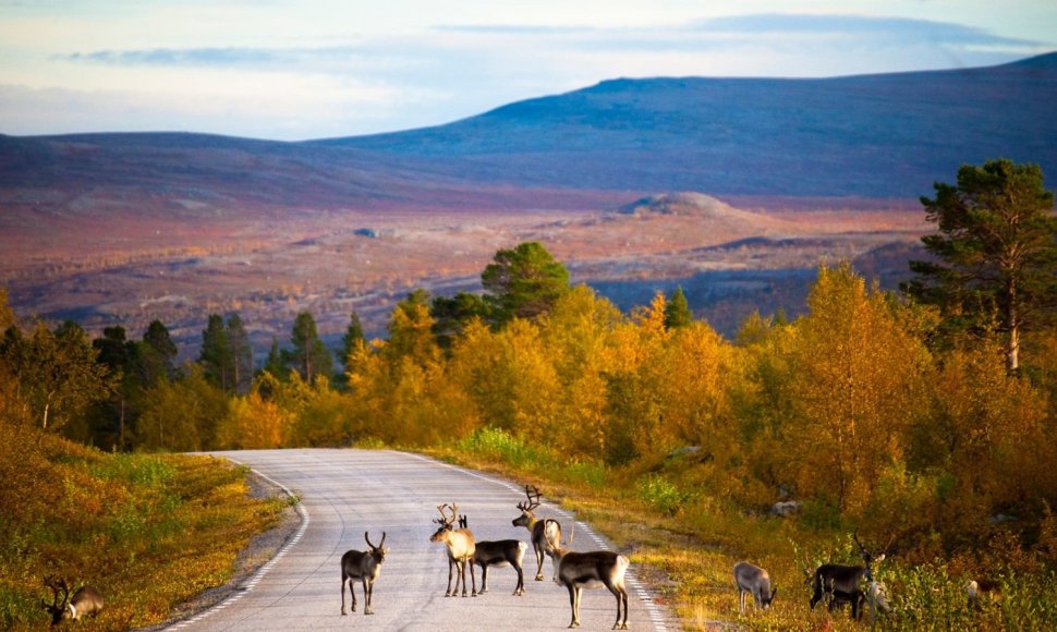 Suomija rudenį