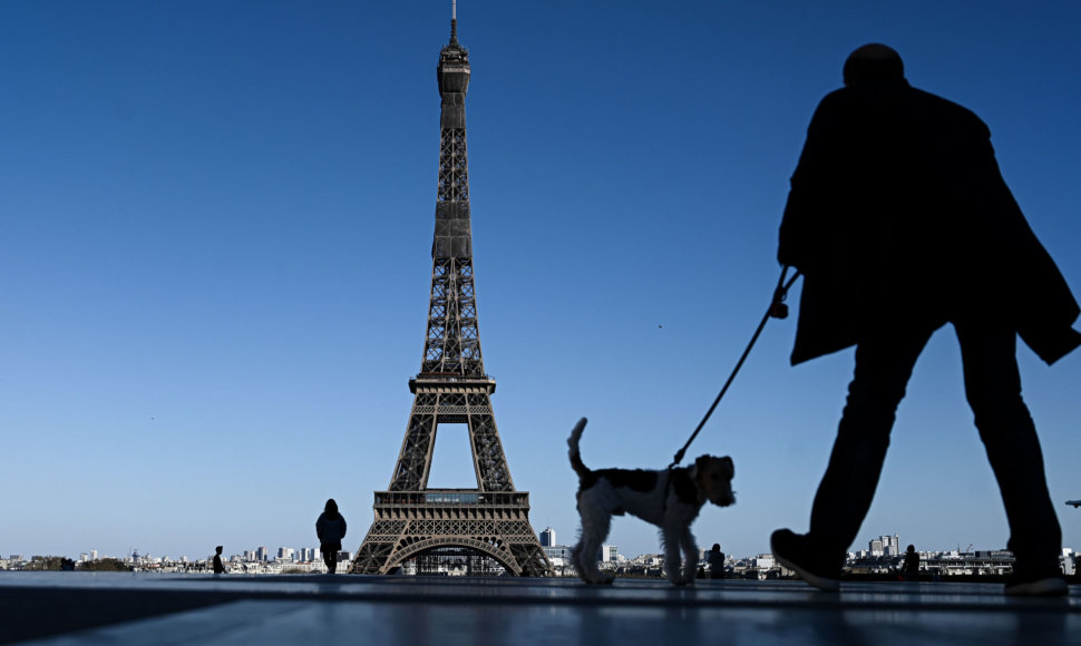 Vyras vedžioja šunį prie Eifelio bokšto
