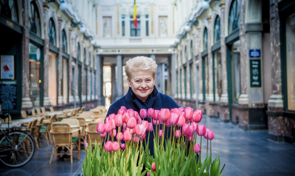 2017 04 29. Lietuvos Respublikos Prezidentė Dalia Grybauskaitė Briuselyje prieš Europos Vadovų Tarybą