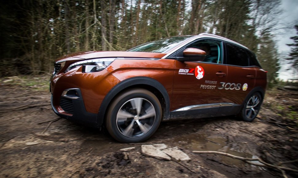 „Peugeot 3008“