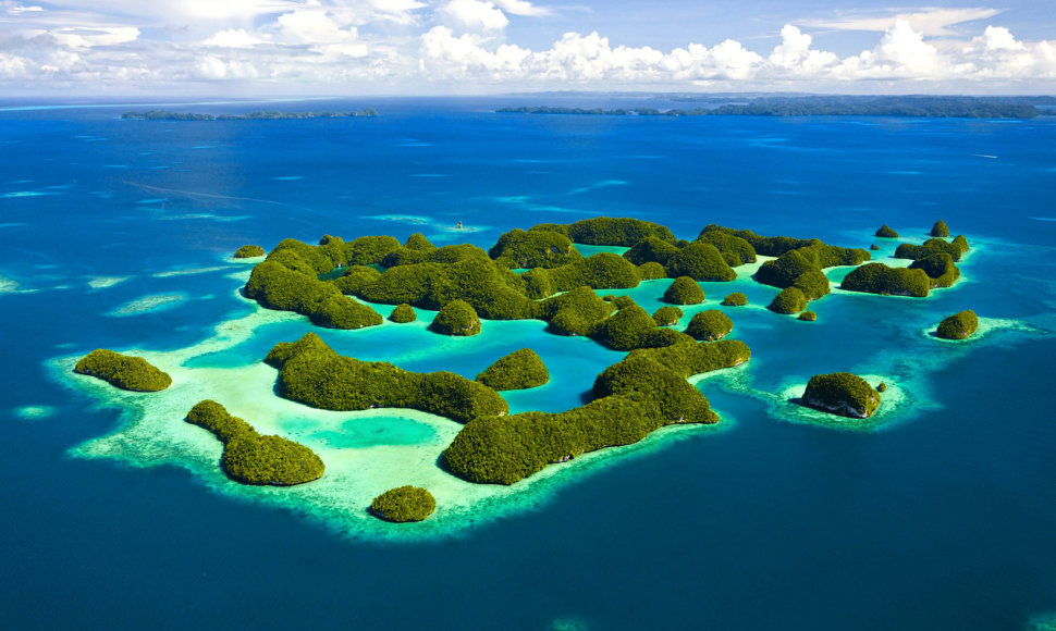 Egzotiškasis Palau salynas