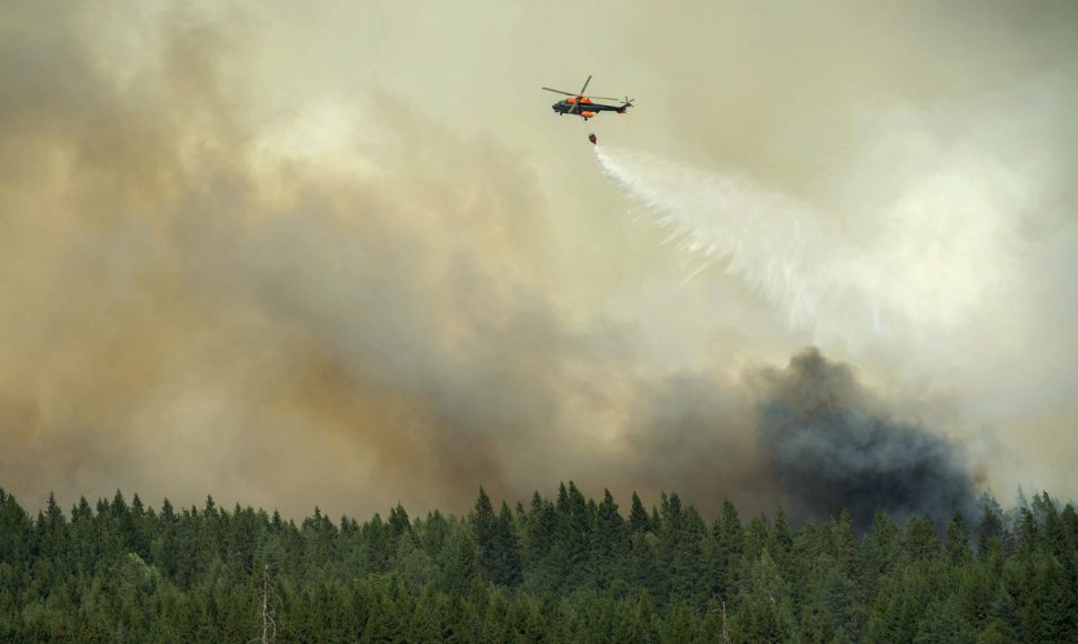 Miško gaisras Švedijoje
