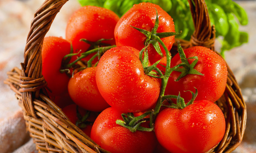 Krepšelis raudonskruosčių pomidorų
