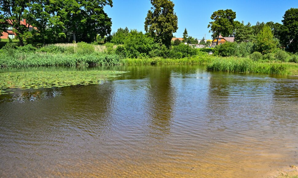 Panevėžio braidykla