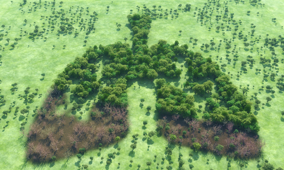 Miškai – žemės plaučiai