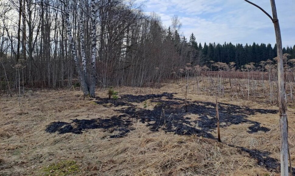Latvijoje nukritęs dronas