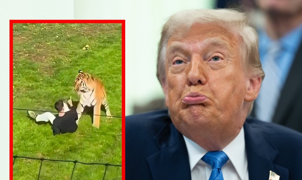 Donaldas Trumpas