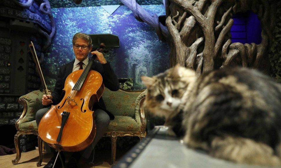 Violončelininkas Davidas Teie išleido albumą katėms