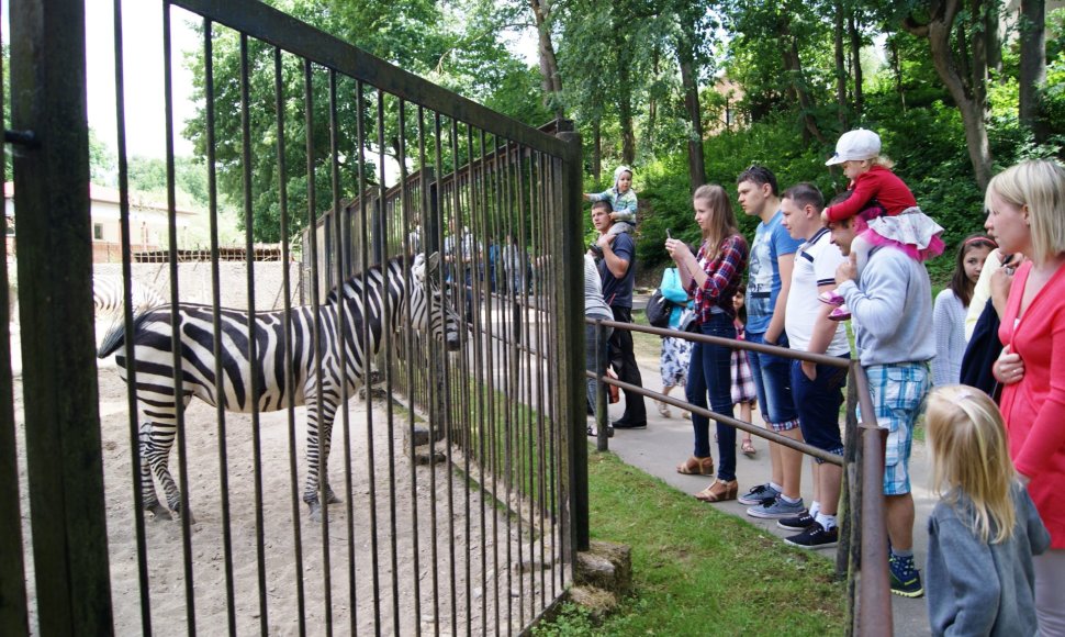 Tėvo dieną Kauno zoologijos sodas buvo pilnas žmonių