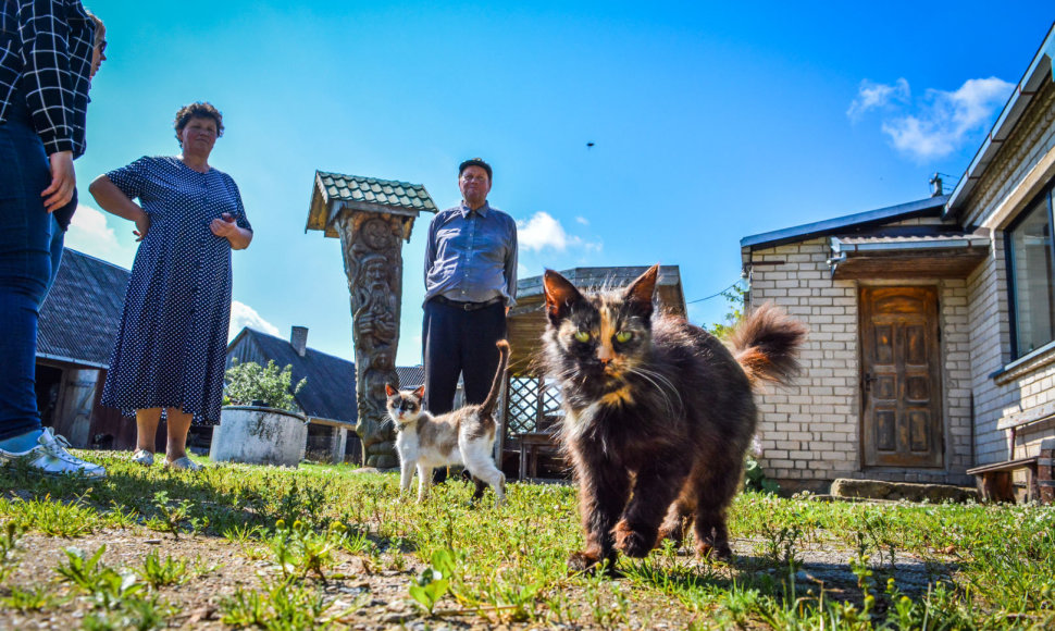 Urėdijų gūžta Katinų kaime: kur įsikurs Lietuvos miškų smegenys