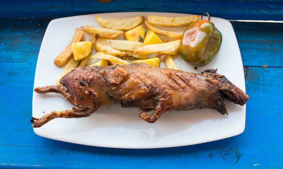 Tradicinis Peru patiekalas – jūrų kiaulytė