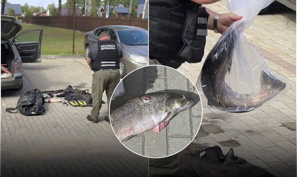 Sulaikyti brakonieriai, nušovę šlakio patelę