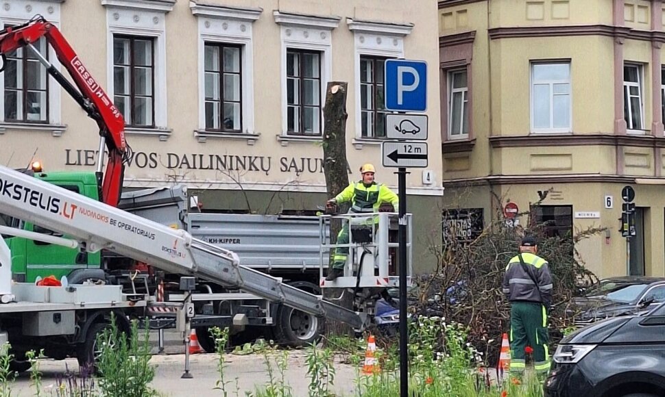 Socialiniuose tinkluose ir vėl užvirė diskusijos dėl Vokiečių gatvės.