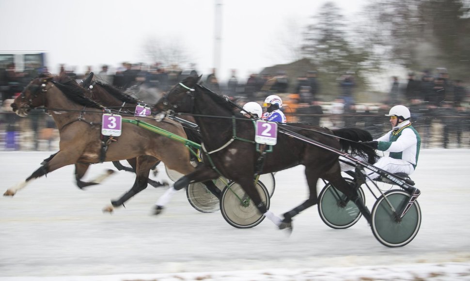 Dusetose startavo „Sartai 2015“ lenktynės