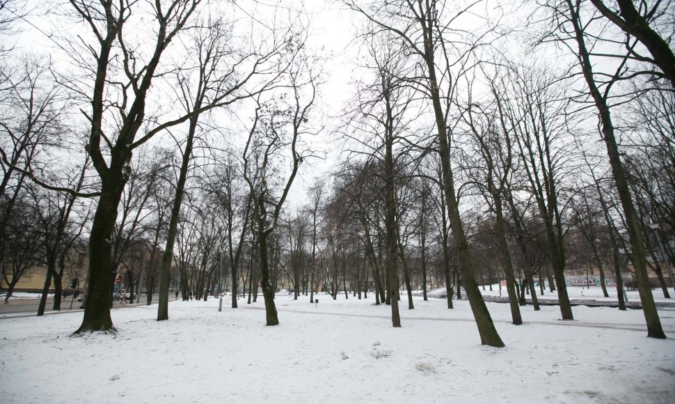 Reformatų parkas