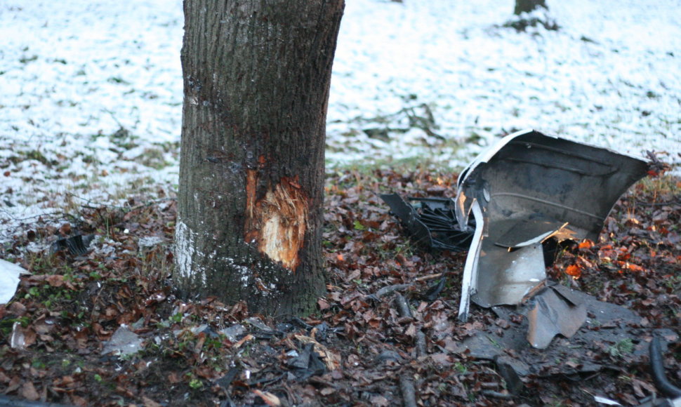 Žagarėje visiškai sudegė  į medį atsitrenkęs „Citroen C5“ – vairuotojas spruko