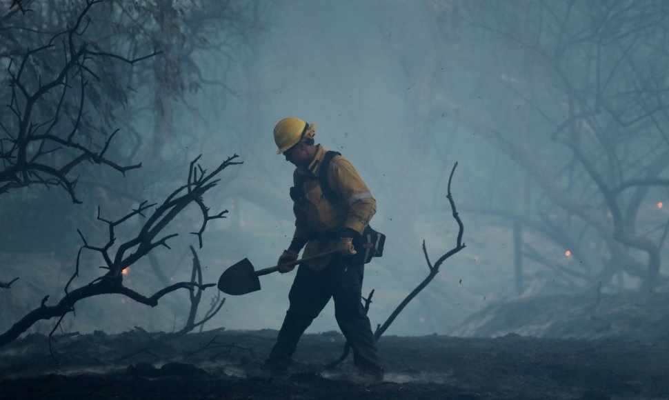 Kalifornijoje ir vėl siaučia miškų gaisrai