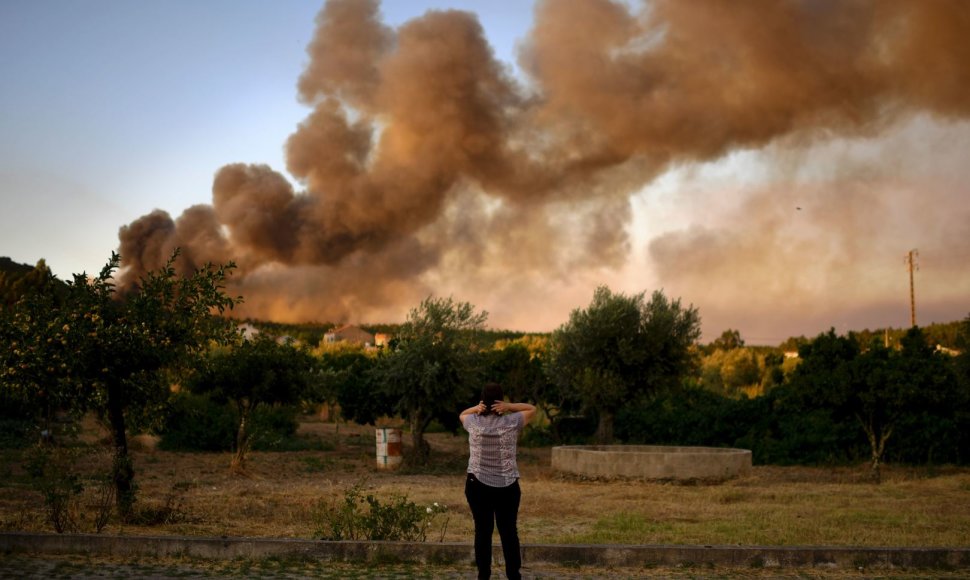Portugalija vėl grumiasi su miškų gaisrais