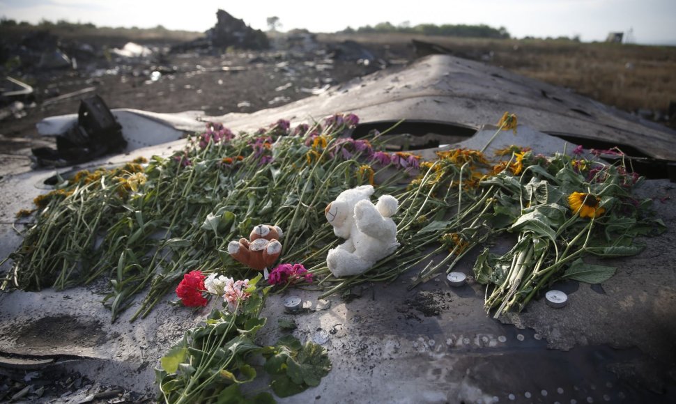 Malaizijos lėktuvo „Boeing 777“ katastrofos vieta rytų Ukrainoje