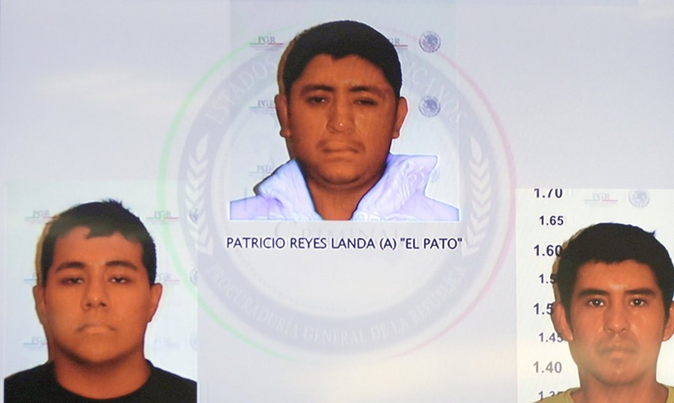 Sulaikytieji dingusių Meksikos studentų byloje