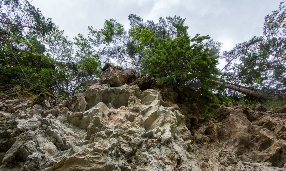  Muoriškių dolomito atodanga