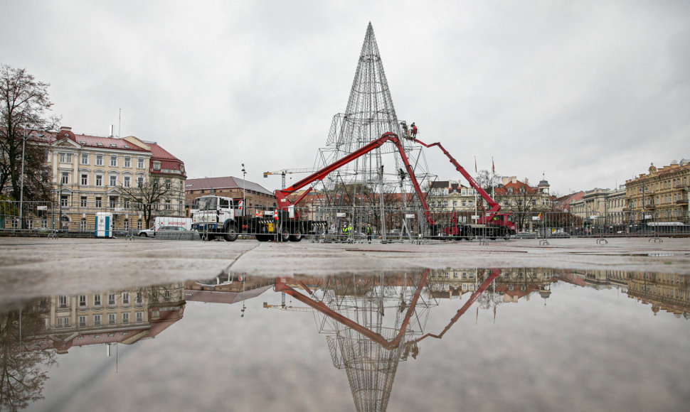 Vilniaus Katedros aikštėje pradėta montuoti Kalėdų eglė