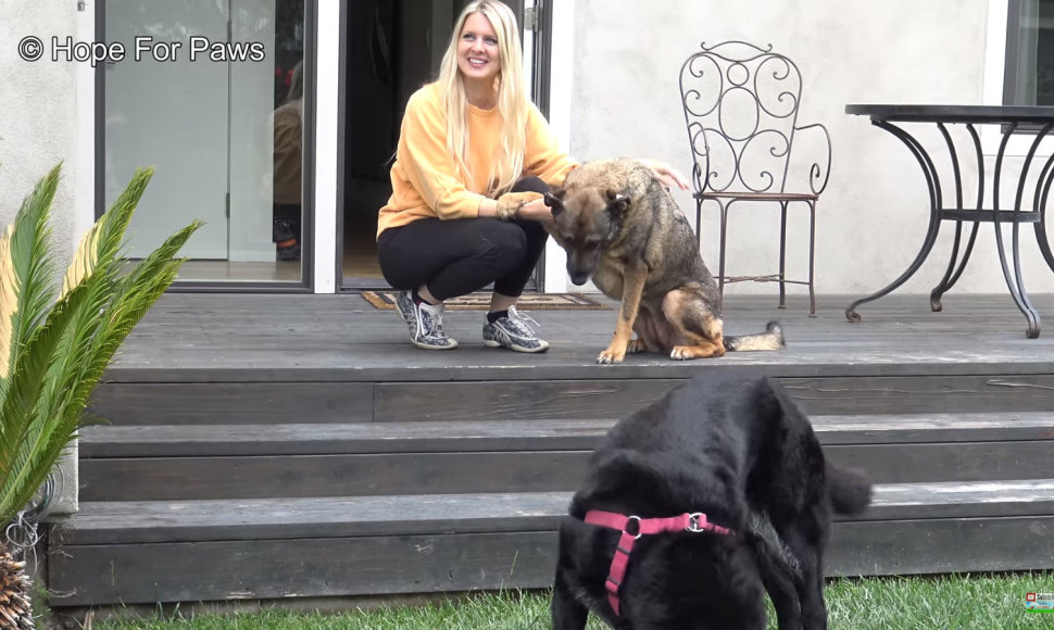 Loreta Frankonytė gelbsti išsigandusį šunį