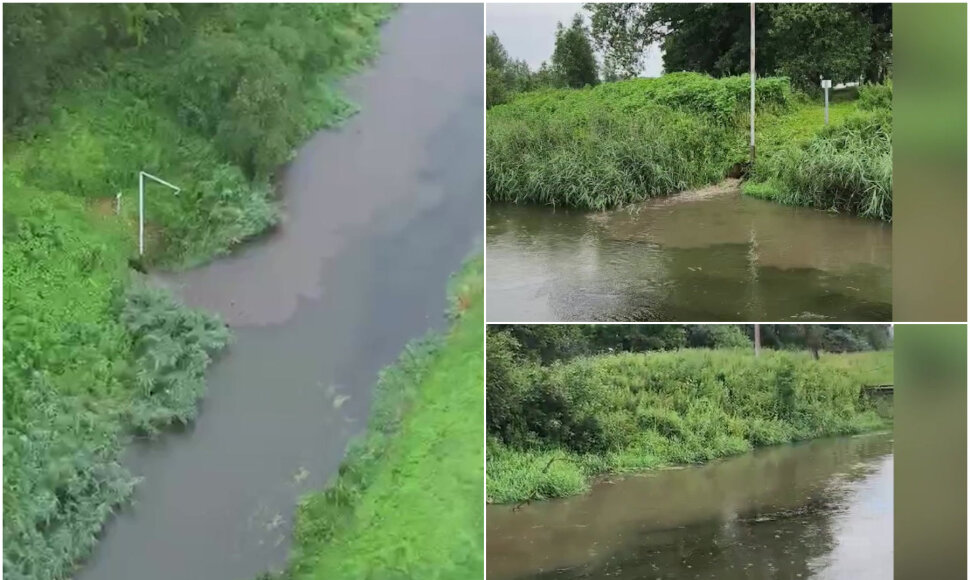 Žiežmarių gyventojas užfiksavo galimą tar&scaron;ą