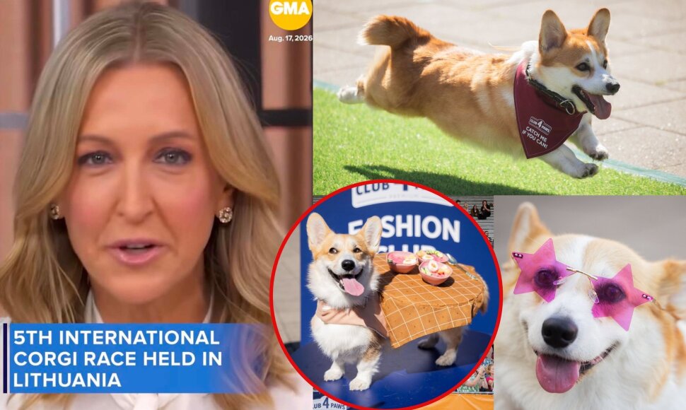 Korgių lenktynės 2026, „Good morning America“ laida