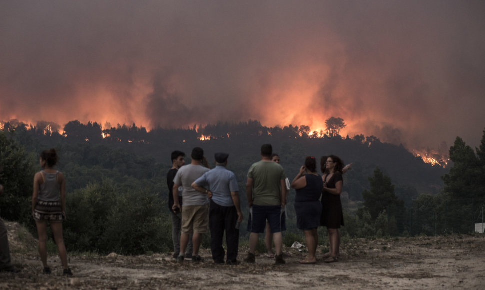Portugalija kovoja su didžiuliais gaisrais Algarvės regione