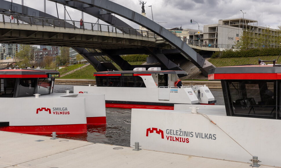 Viliaus laivai