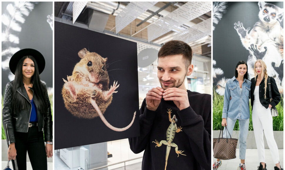 Pasaulį sužavėjusio lietuvio fotografo paroda sudomino garsenybes