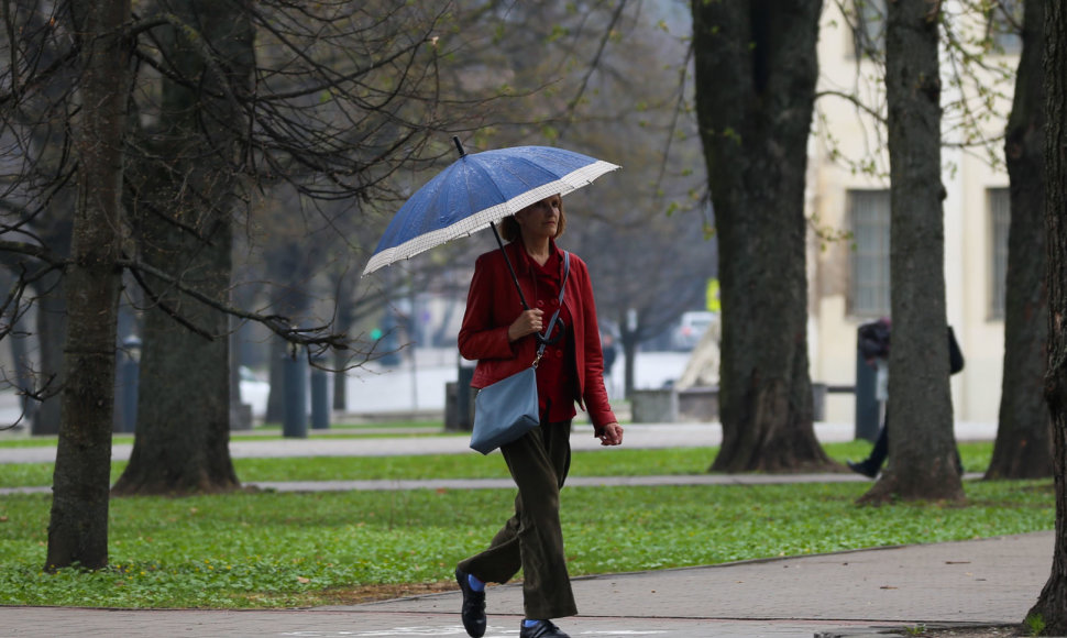 Pavasarinis lietus Vilniuje