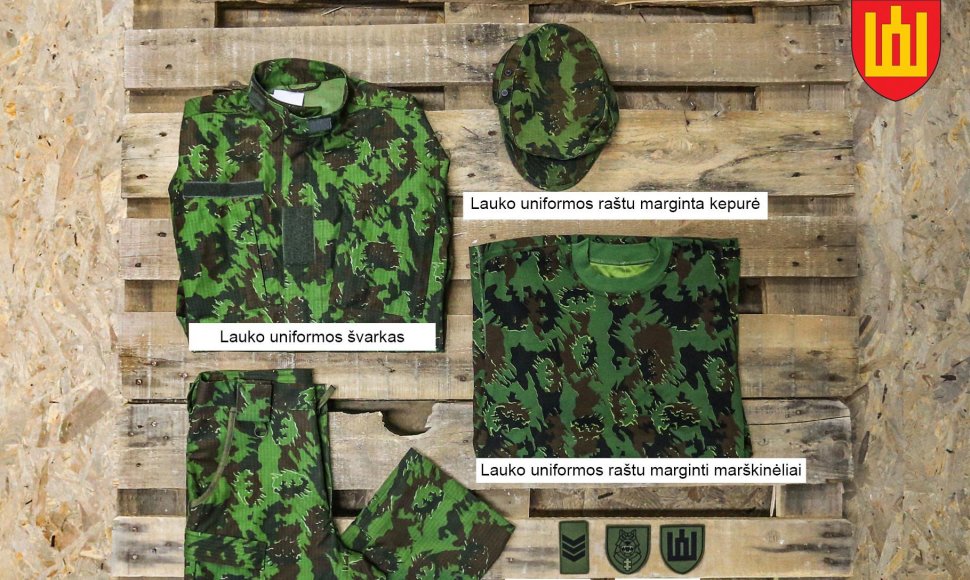Lietuvos kario uniformos elementai