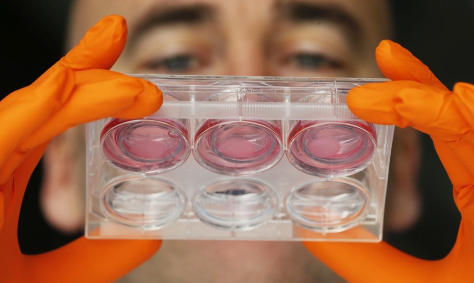 Laboratorijoje mokslininkai tiria žmogaus kūno ląsteles