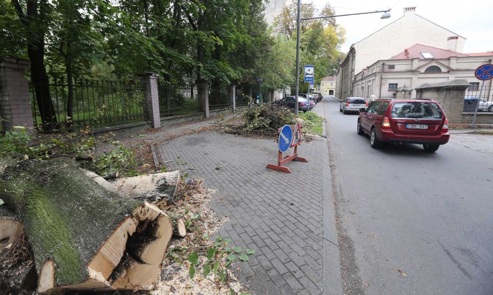Vilniuje, Radvilų gatvėje nupjauti medžiai.